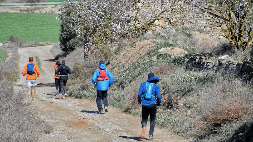 3 de Març de 2024   Castellmeià -  Ramon Sunyer