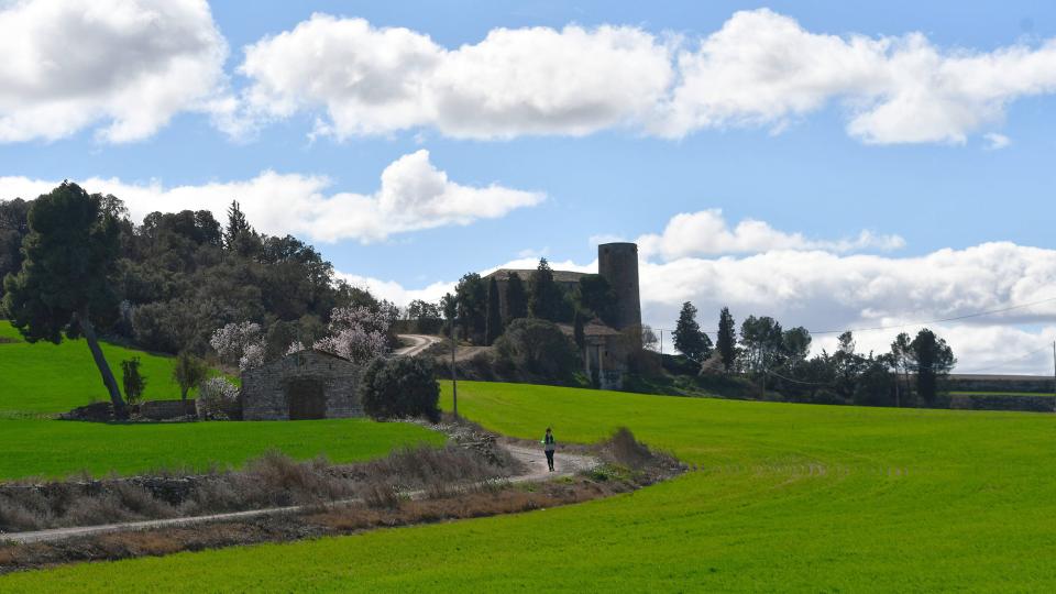 3.3.2024 castell  Castellmeià -  Ramon Sunyer