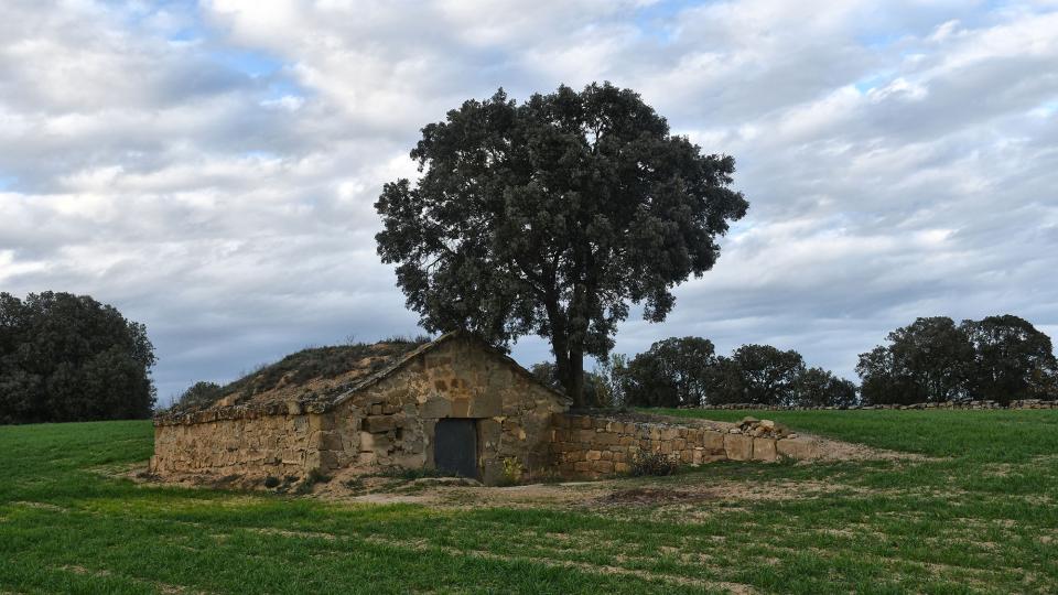 28.3.2024 Cabana del Verders  Massoteres -  Ramon Sunyer