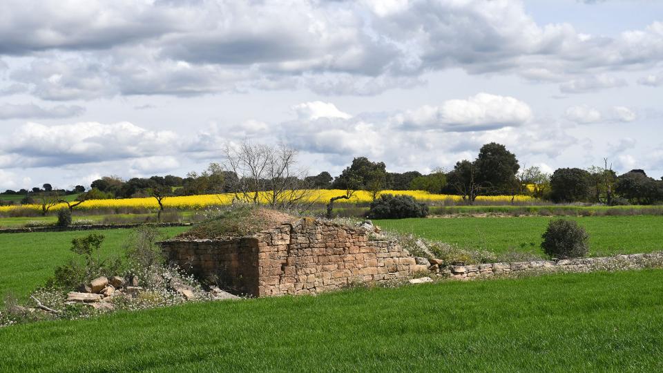 30 de Març de 2024 Cabana de la Vinya del Santacreu  Massoteres -  Ramon Sunyer