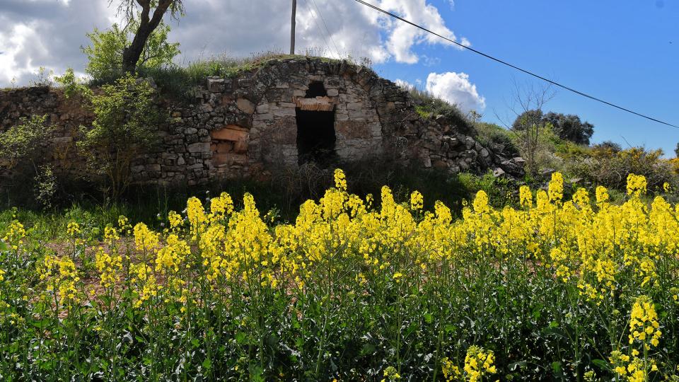 30 de Març de 2024 Cabana del Pouet del Bisbe  Massoteres -  Ramon Sunyer