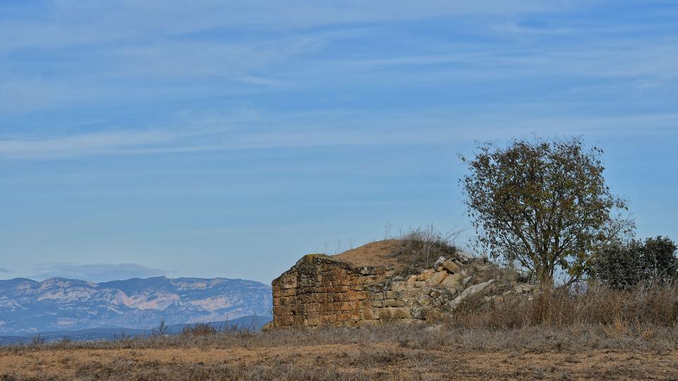 10 de Desembre de 2023 Cabana de la Vinya del Santacreu  Massoteres -  Ramon Sunyer