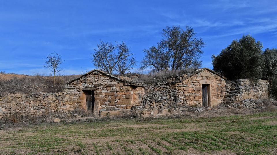 10.12.2023 Cabanes de la Vinya del Betó  Massoteres -  Ramon Sunyer