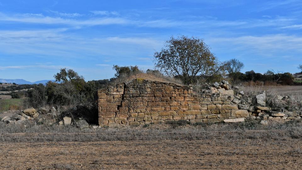 10 de Desembre de 2023 Cabana de la Vinya del Santacreu  Massoteres -  Ramon Sunyer