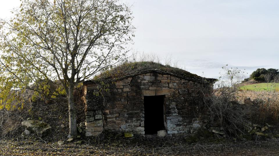 10.12.2023 Cabana de la Vinya del Santacreu  Massoteres -  Ramon Sunyer