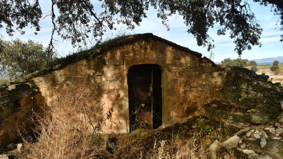 10 de Desembre de 2023 Cabana de la Vinya del Paula  Massoteres -  Ramon Sunyer