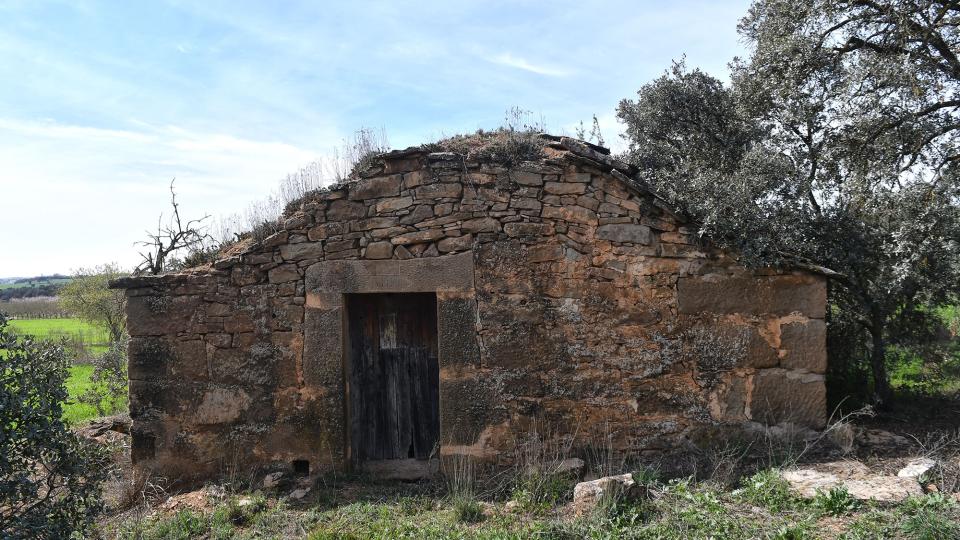 17 de Març de 2024 Cabana del Reguelot del Manel 2  Les Pallargues -  Ramon Sunyer