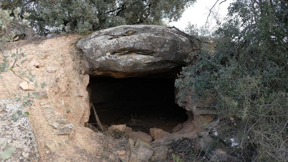 23.4.2024 Cabana excavada sota la roca  Gra -  Josep Maria Santesmasses Palou