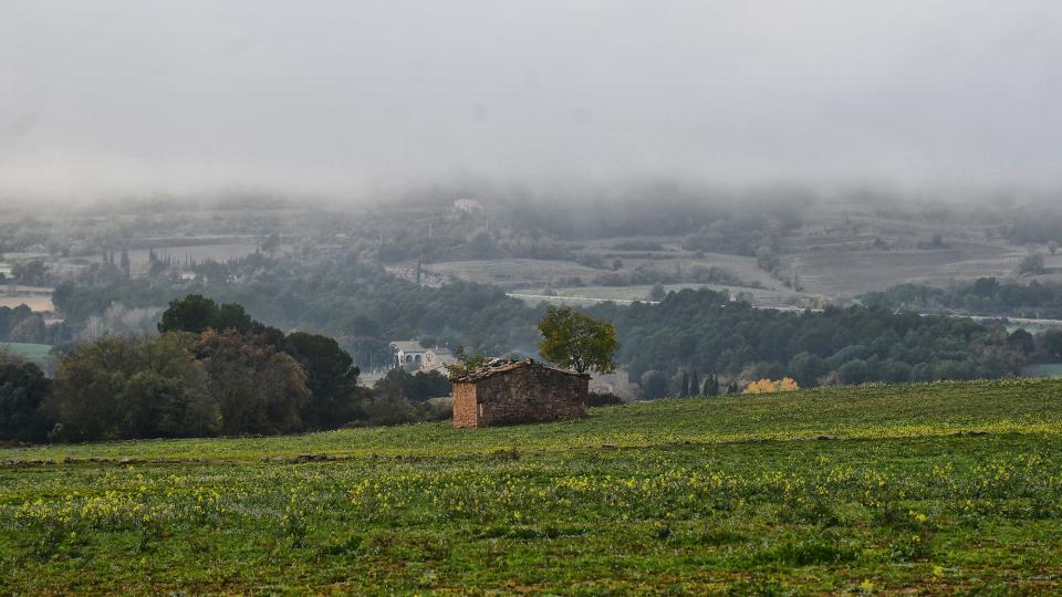 paisatge amb cabana 24.11.2024 paisatge amb cabana Sant Pere Sallavinera - Ramon Sunyer
