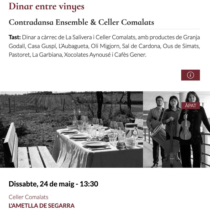 cartell Espurnes barroques 'Dinar entre vinyes' cartell Espurnes barroques 'Dinar entre vinyes'