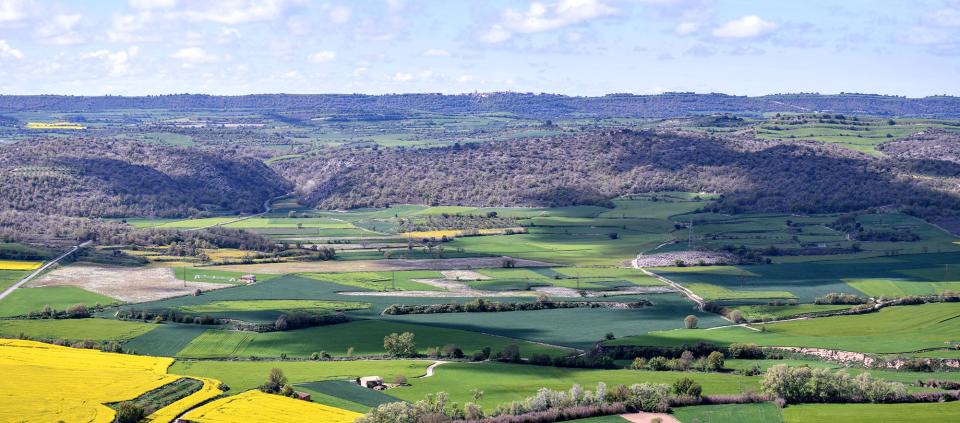 Panoràmica des de l'Aguda 21 de Abril de 2025 Panoràmica des de l'Aguda Torà - Ramon Sunyer
