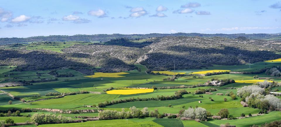 Panoràmica des de l'Aguda 21 de Abril de 2025 Panoràmica des de l'Aguda Torà - Ramon Sunyer