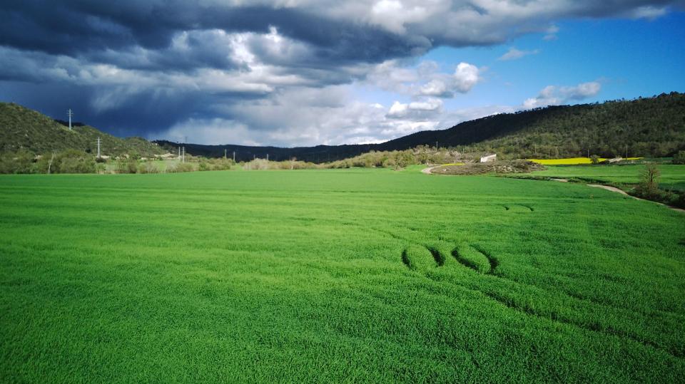 Ordis a les Valls 16 de Abril de 2025 Ordis a les Valls Torà - Ramon Sunyer