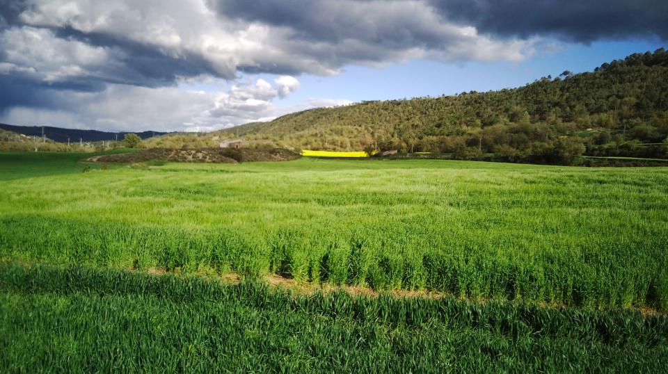 Ordis a les Valls 16 de Abril de 2025 Ordis a les Valls Torà - Ramon Sunyer