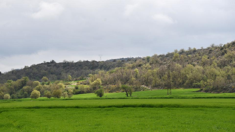 Sembrats al pla de Fontanet 13 de Abril de 2025 Sembrats al pla de Fontanet Torà - Ramon Sunyer