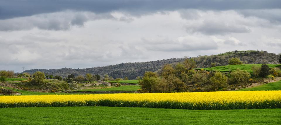 Panoràmica de les Torrovelles 13 de Abril de 2025 Panoràmica de les Torrovelles Torà - Ramon Sunyer