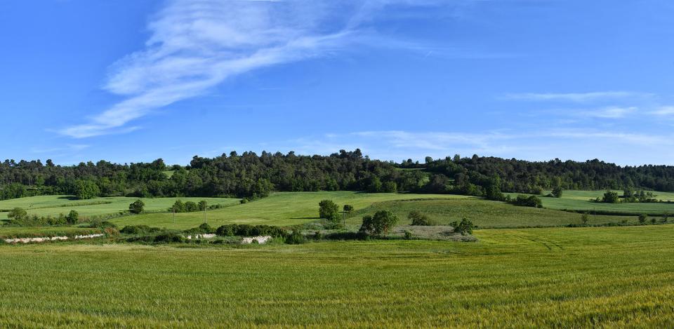 panorama sembrats 17.5.2025 panorama sembrats Rauric - Ramon Sunyer