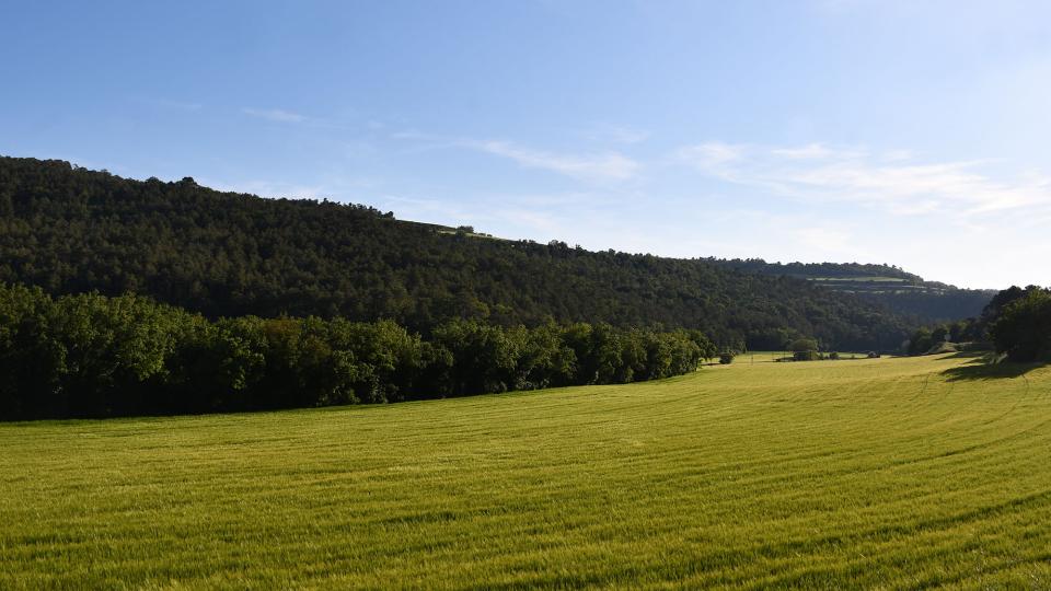 17.5.2025 sembrats  Albió -  Ramon Sunyer