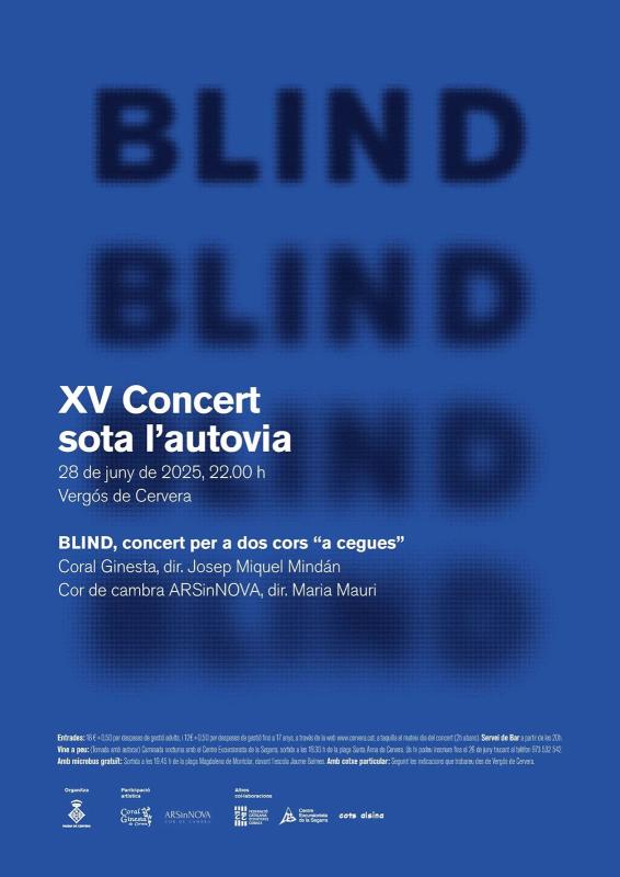 cartell XVè Concert sota l’autovia 'Blind' cartell XVè Concert sota l’autovia 'Blind'