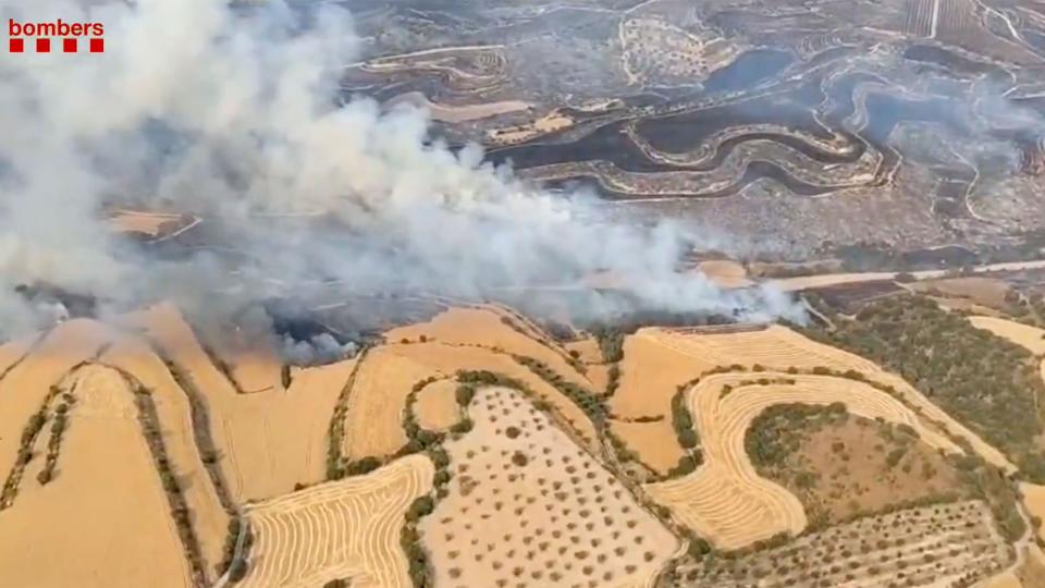 Incendi de vegetació agrícola a Granyena de Segarra - Granyena de Segarra Incendi de vegetació agrícola a Granyena de Segarra - Granyena de Segarra