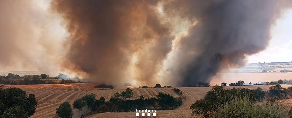 Incendi de vegetació agrícola a Granyena de Segarra