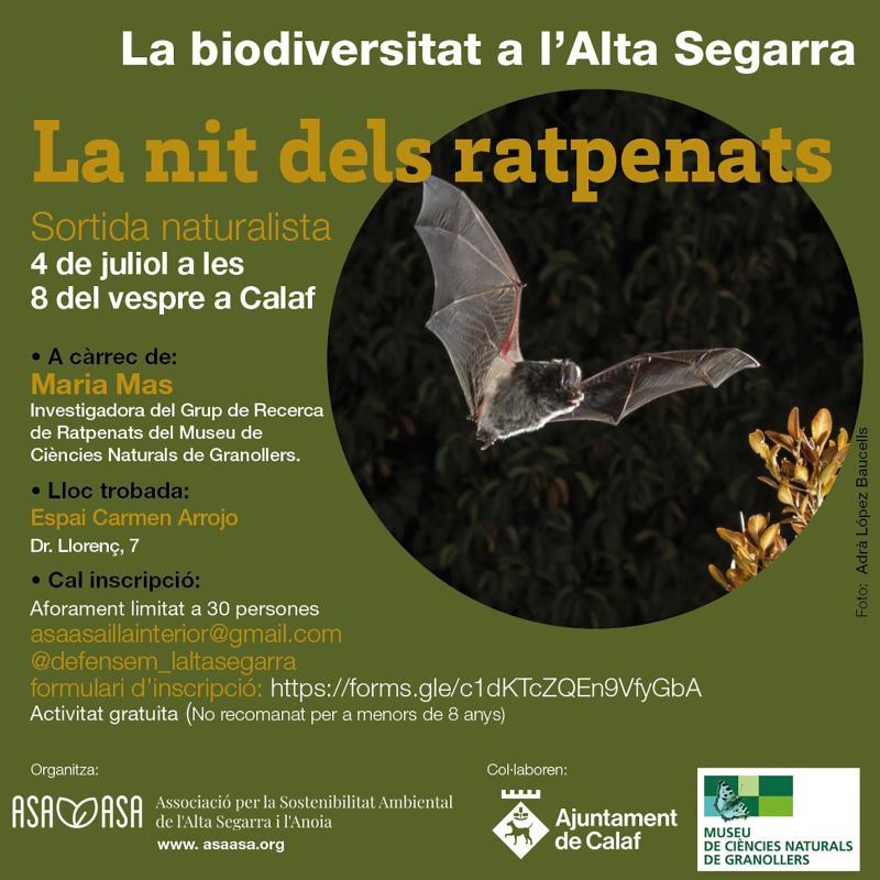 cartell La Nit dels Ratpenats cartell La Nit dels Ratpenats