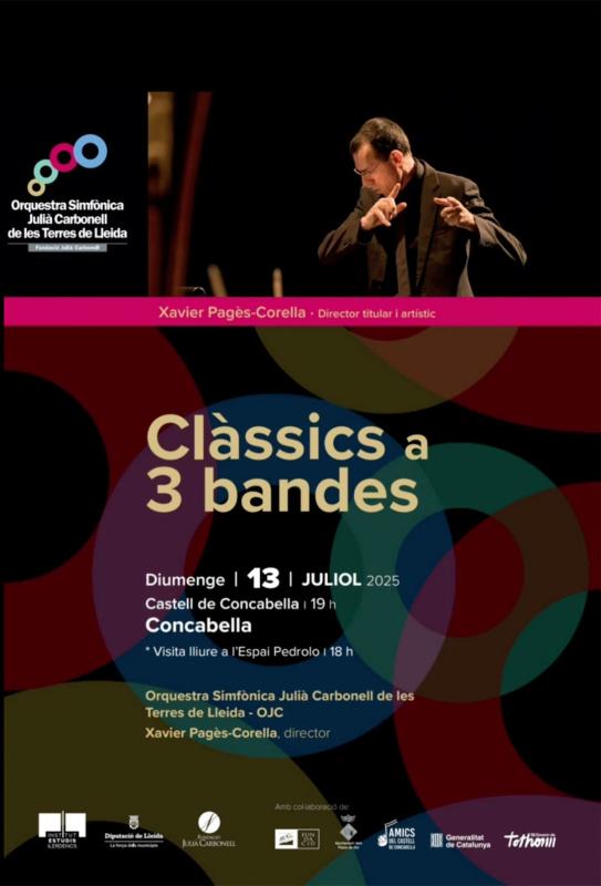 cartell Concert a 3 bandes cartell Concert a 3 bandes