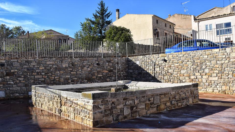 Safareig 3.11.2018 Safareig Les Piles - Ramon Sunyer