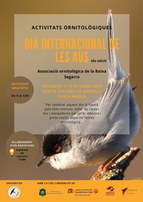 cartell Dia internacional de les aus
