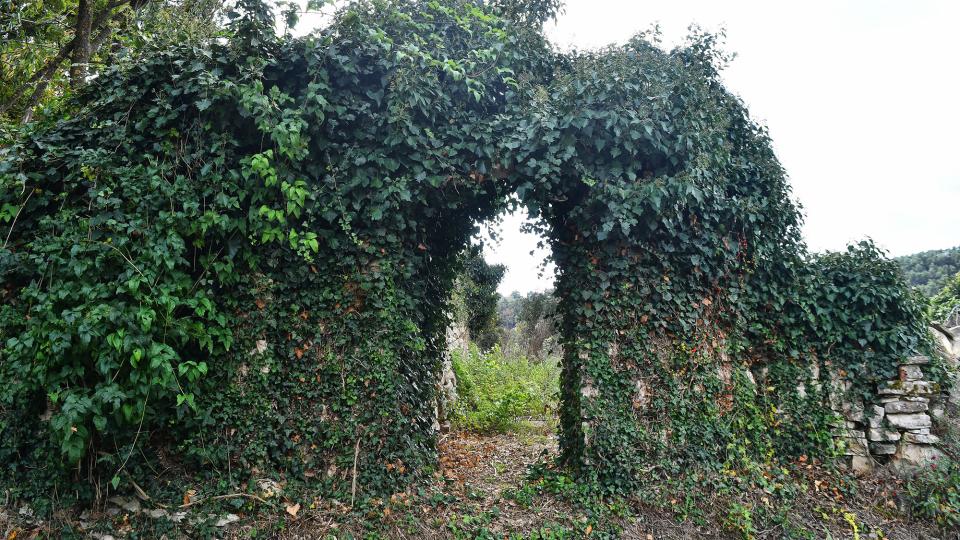 Font Tosquella de Més Avall 19.10.2025 Font Tosquella de Més Avall Pujalt - Ramon Sunyer