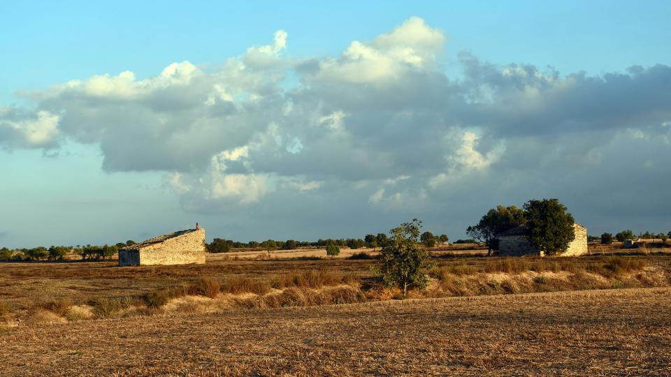 18.10.2025 Cabanes  Guissona -  Ramon Sunyer