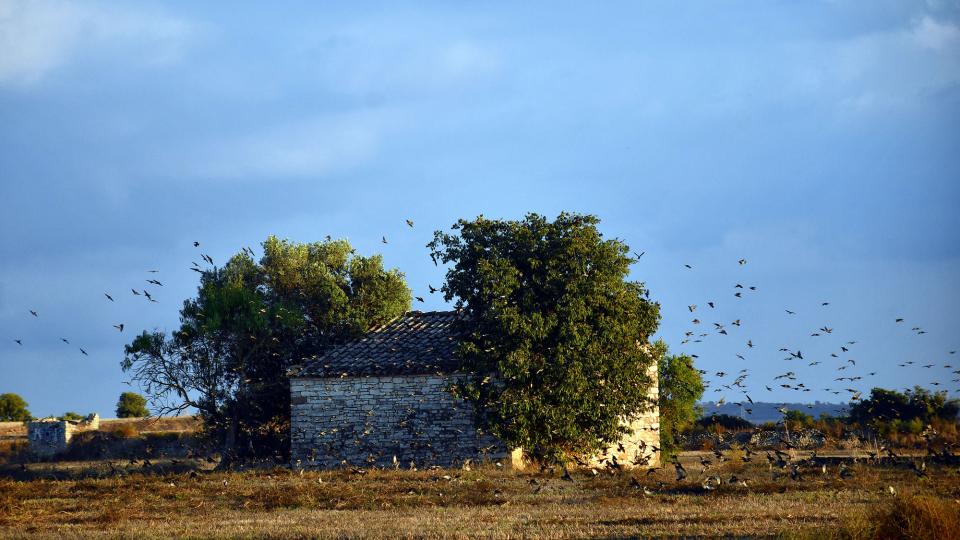 18.10.2025 Estornells  Guissona -  Ramon Sunyer