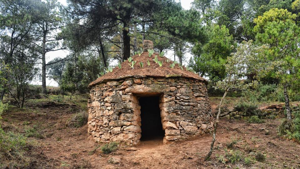 24.11.2024 Cabana del Sastre  Aguilar de Segarra -  Ramon Sunyer