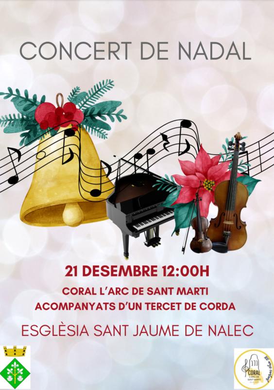 cartell Concert de Nadal a Nalec
