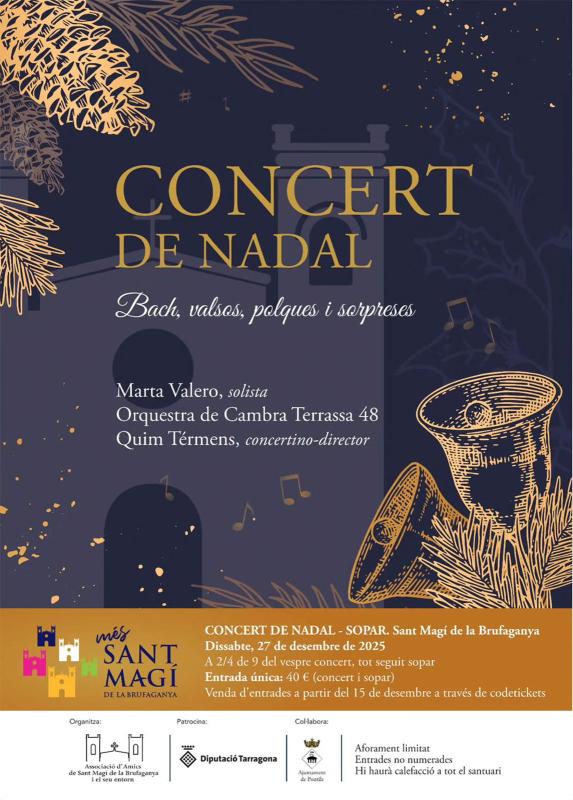 cartell Concert de Nadal a Sant Magà de la Brufaganya