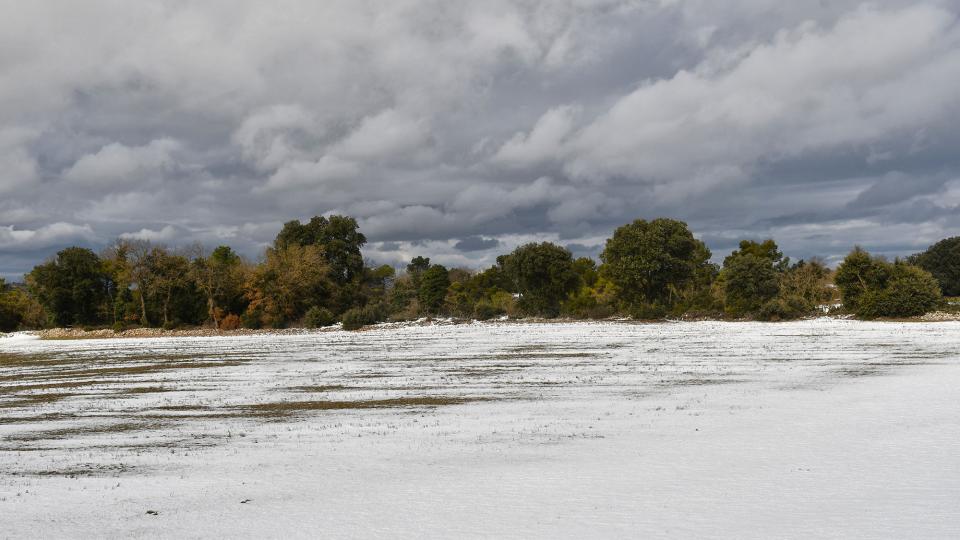 25.1.2026 Paisatge nevat  La Tallada -  Ramon Sunyer