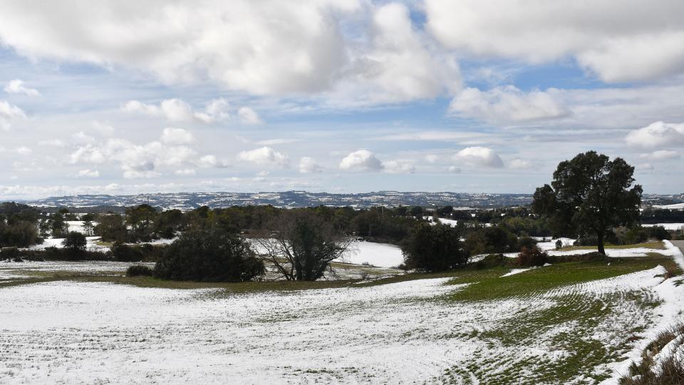 25.1.2026 Paisatge nevat  La Tallada -  Ramon Sunyer