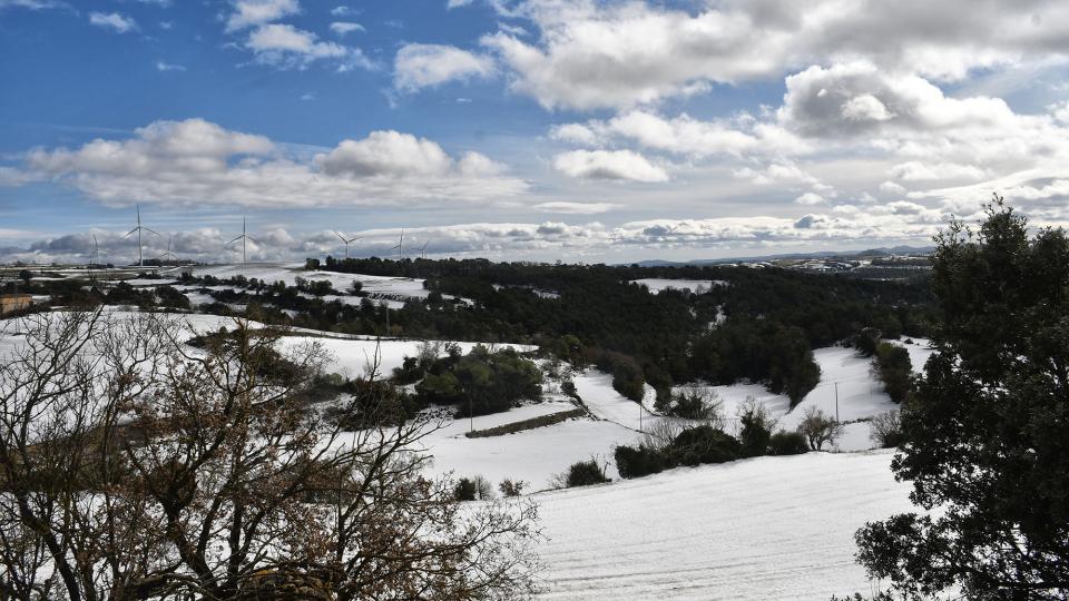 25.1.2026 Paisatge nevat  La Tallada -  Ramon Sunyer
