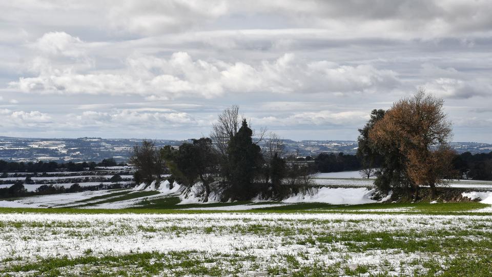 25.1.2026 Paisatge nevat  La Tallada -  Ramon Sunyer