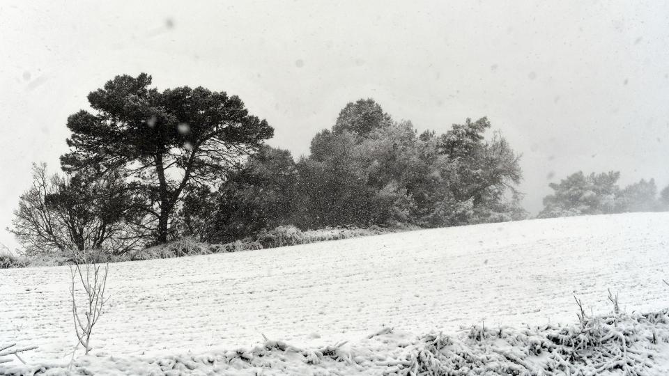 24.1.2026 Paisatge nevat  Bellmunt de Segarra -  Ramon Sunyer