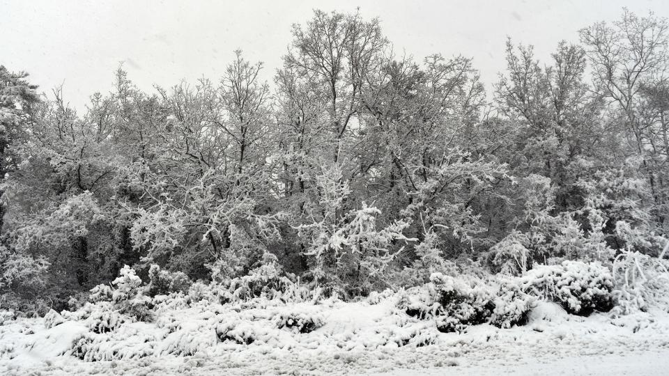 24.1.2026 Paisatge nevat  Bellmunt de Segarra -  Ramon Sunyer