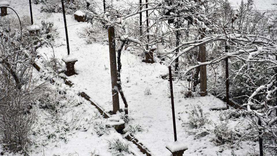 5.1.2026 Vista del poble nevat  Torà -  Ramon Sunyer