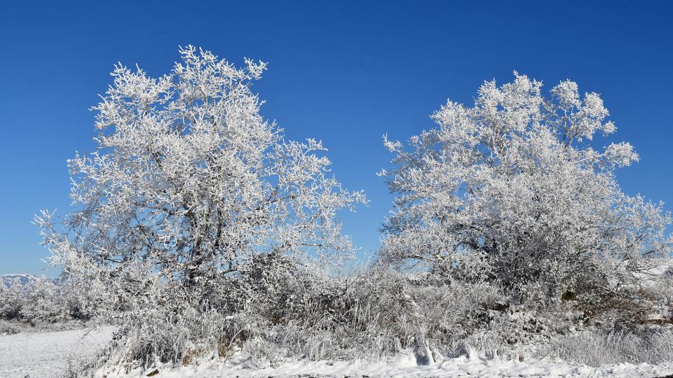 6.1.2026 Paisatge nevat  Prades de la Molsosa -  Ramon Sunyer