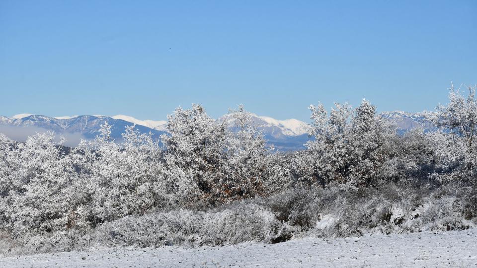 6.1.2026 Paisatge nevat  Prades de la Molsosa -  Ramon Sunyer