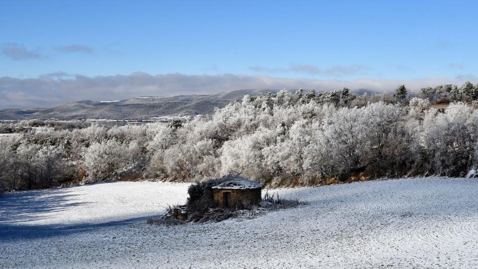 6 de Gener de 2026 Cabana nevada  Prades de la Molsosa -  Ramon Sunyer