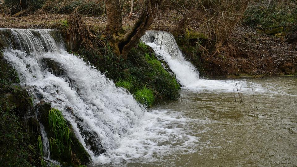 25.1.2026 Peixera  La Prenyanosa -  Ramon Sunyer