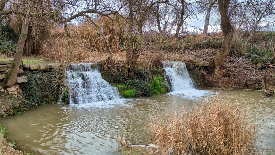 25.1.2026 Peixera  La Prenyanosa -  Ramon Sunyer