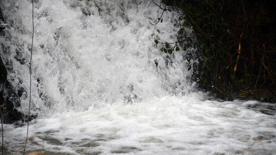 25.1.2026 Peixera  La Prenyanosa -  Ramon Sunyer