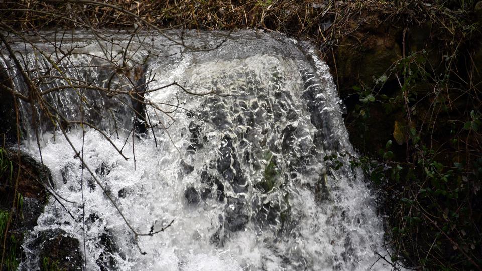 25.1.2026 Peixera  La Prenyanosa -  Ramon Sunyer