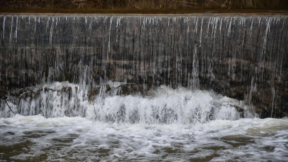 25.1.2026 Peixera del Duc  Fontanet -  Ramon Sunyer